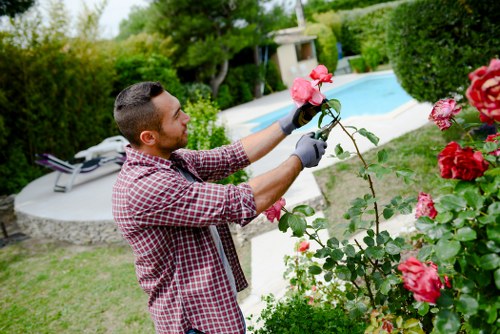 Gardening team assessing a residential front garden
