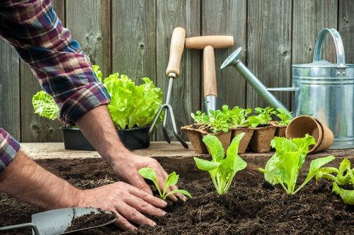 Quoted gardening services and seasonal care