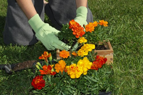 Garden clearance tools and equipment in use