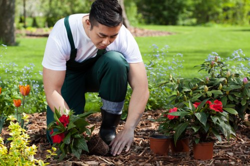 Lawn care and mowing in Brockley