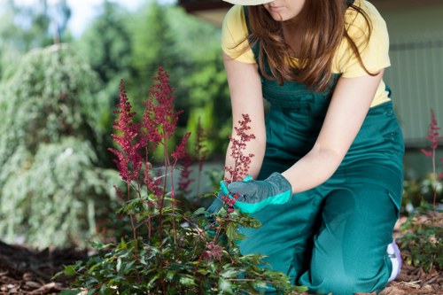 Seasonal gardening activities in Brockley throughout the year