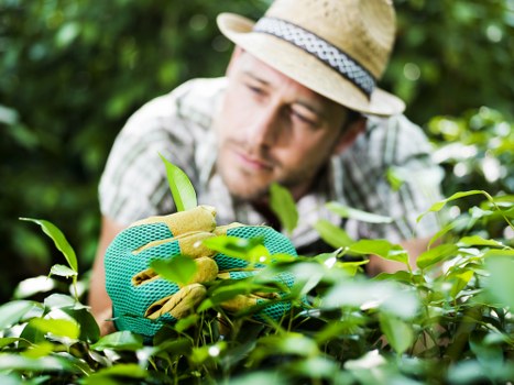 Workers sorting garden waste into recycling streams at a site