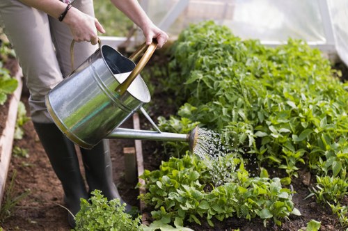 Compost turning and municipal transfer station in Lewisham area